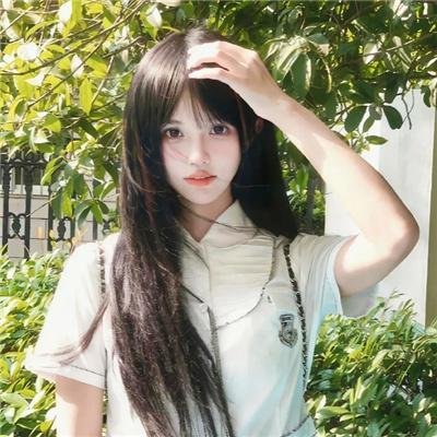 动物新世代