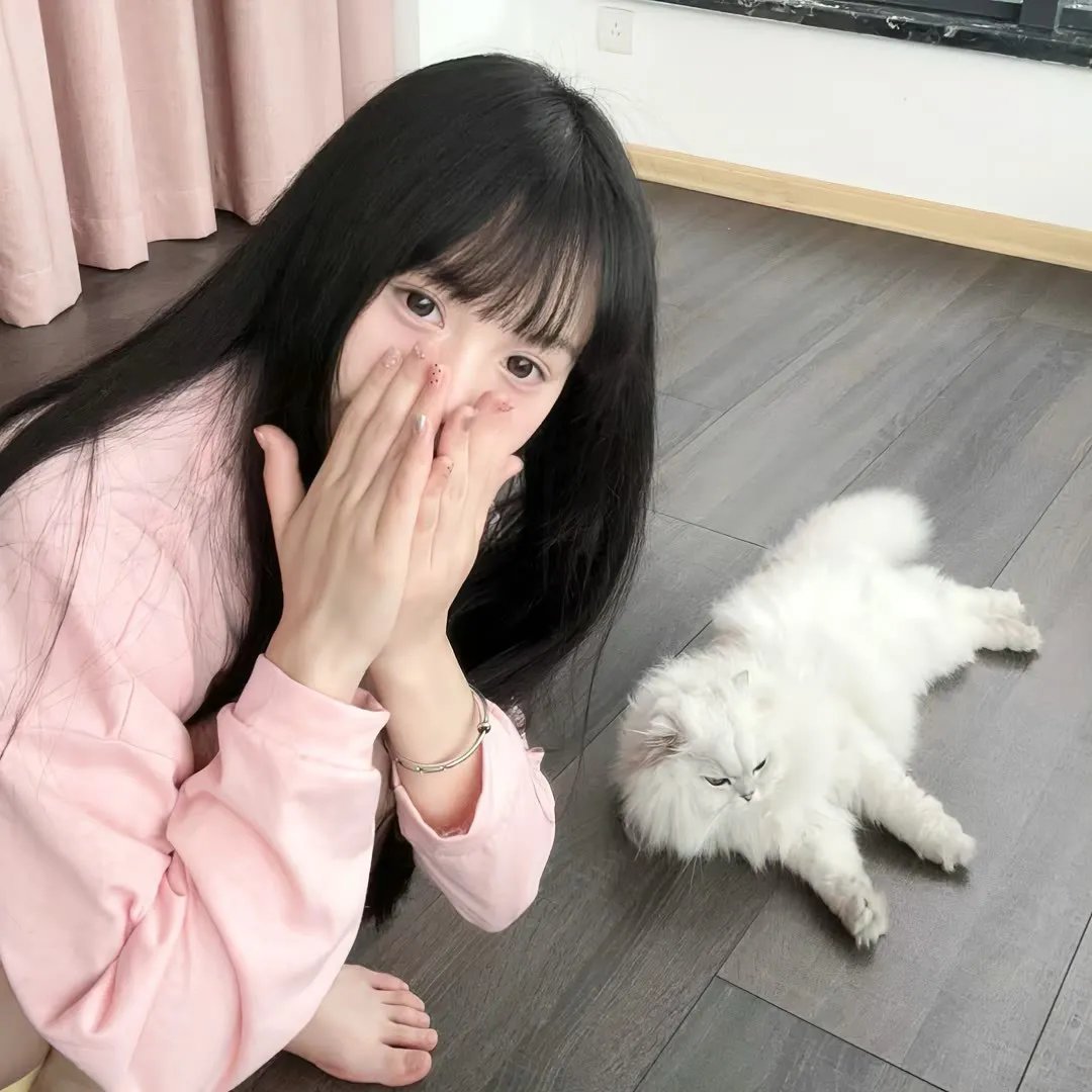 石头 剪刀 布2015