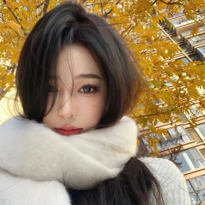 灰姑娘的故事：圣诞愿望